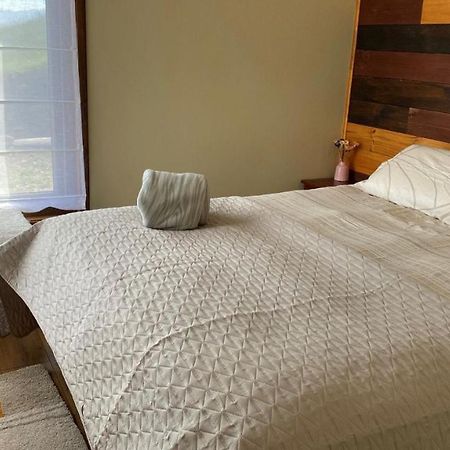 Cabanas Las Terrazas De Iculpe Población Población Lago Ranco 외부 사진